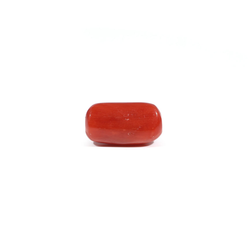 Red Coral - 3.6 Carat