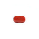 Red Coral - 3.6 Carat