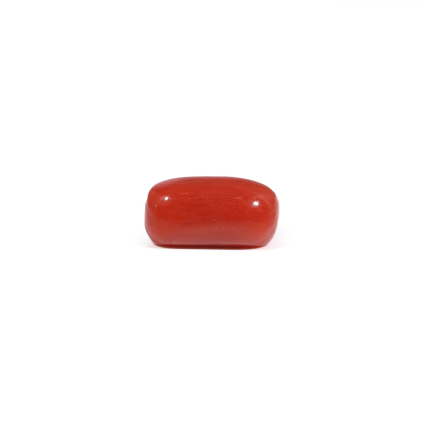 Red Coral - 3.6 Carat