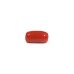 Red Coral - 3.6 Carat