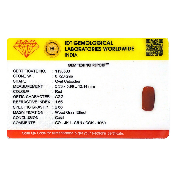 Red Coral - 3.6 Carat