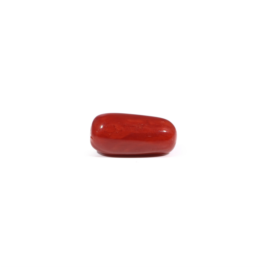 Red Coral - 3.23 Carat - Pramogh
