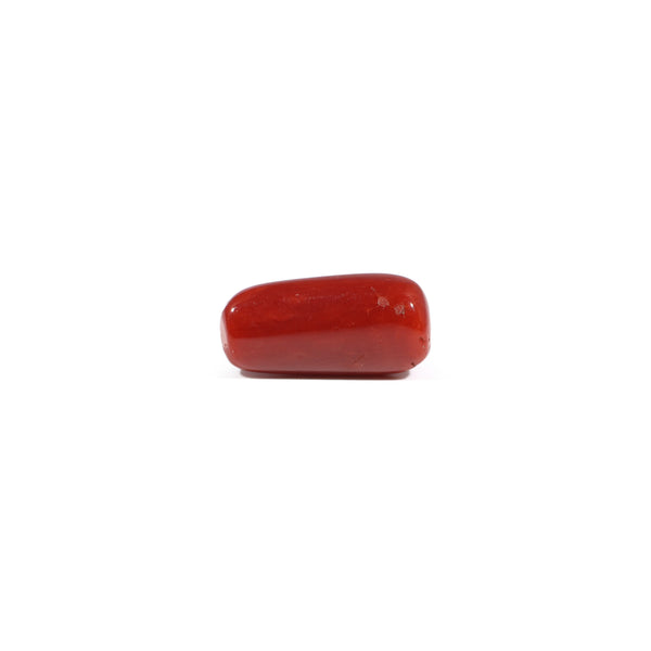 Red Coral - 3.23 Carat