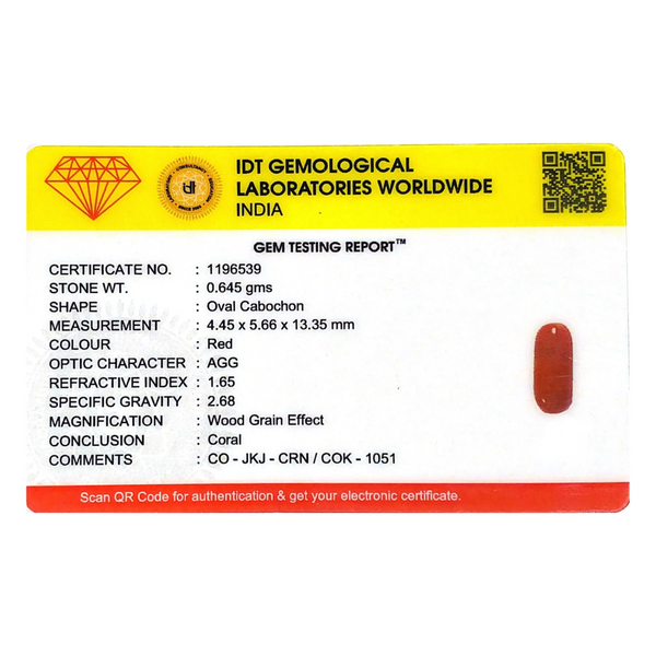Red Coral - 3.23 Carat