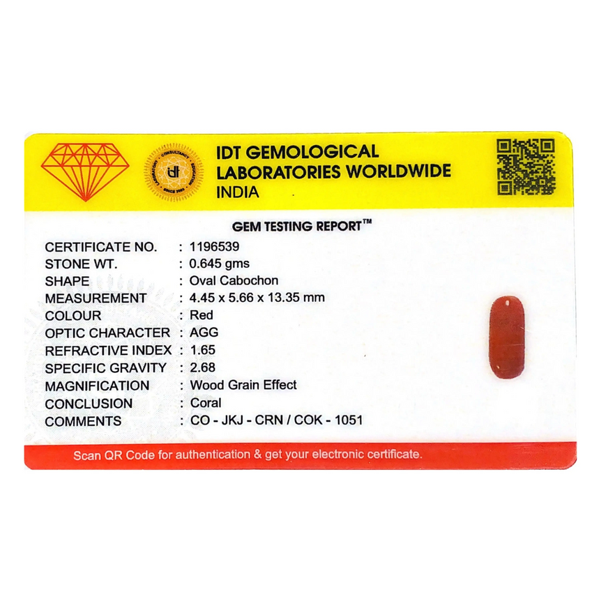 Red Coral - 3.23 Carat