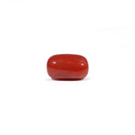Red Coral - 3.38 Carat - Pramogh