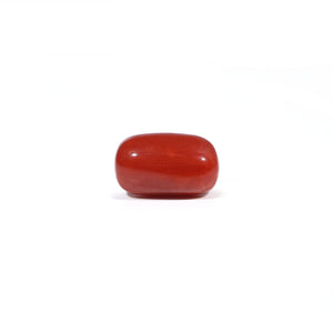 Red Coral - 3.38 Carat - Pramogh
