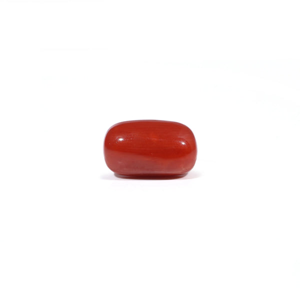 Red Coral - 3.38 Carat - Pramogh
