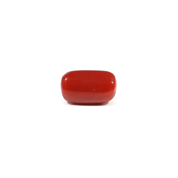Red Coral - 3.38 Carat
