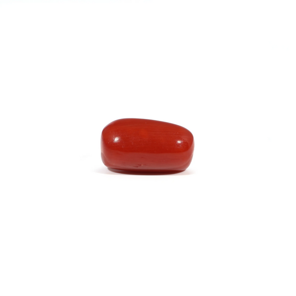 Red Coral - 3.38 Carat