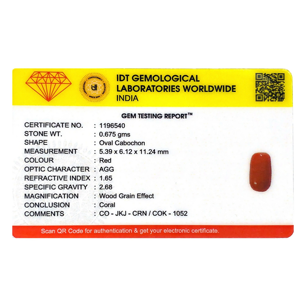 Red Coral - 3.38 Carat