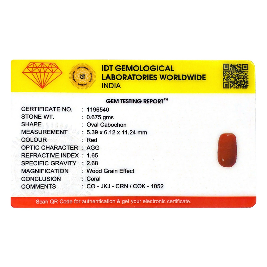 Red Coral - 3.38 Carat