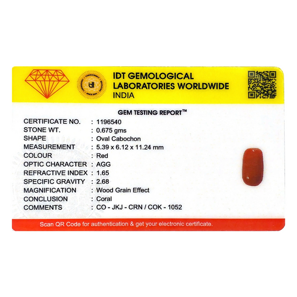 Red Coral - 3.38 Carat