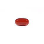 Red Coral - 3.86 Carat - Pramogh