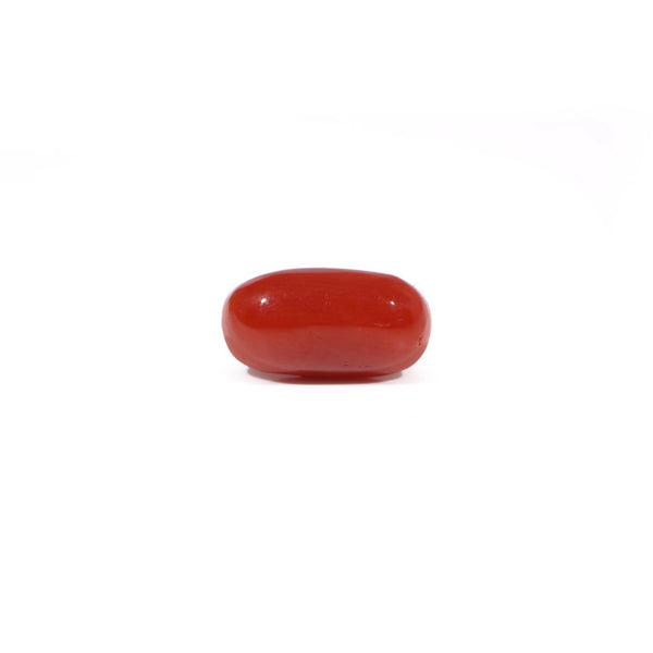 Red Coral - 3.86 Carat - Pramogh