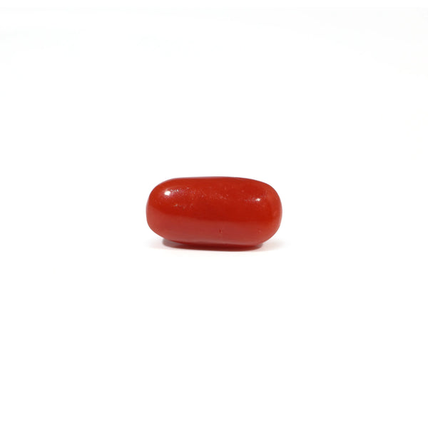 Red Coral - 3.86 Carat