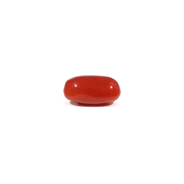 Red Coral - 3.86 Carat