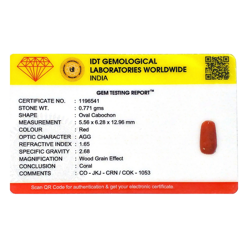 Red Coral - 3.86 Carat