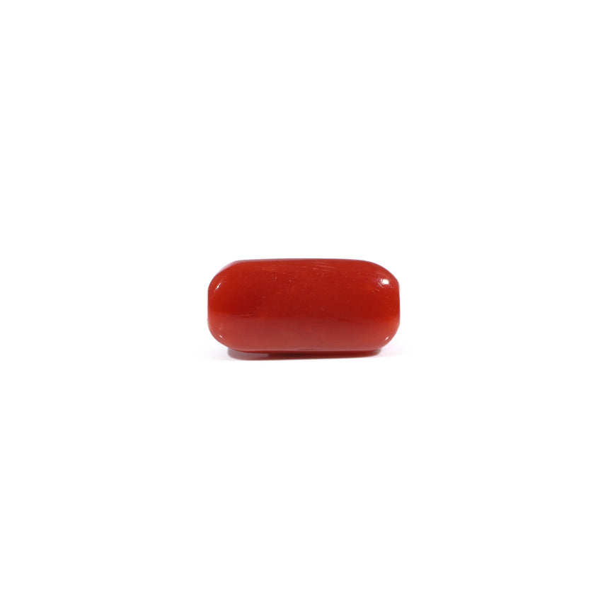 Red Coral - 3.42 Carat