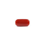 Red Coral - 3.42 Carat