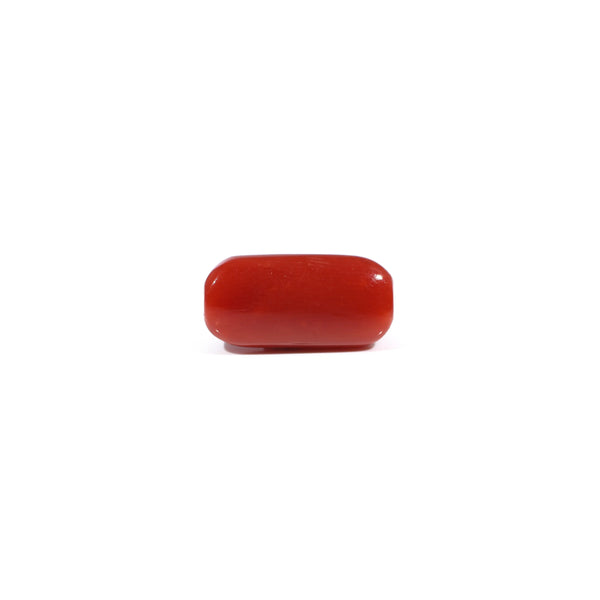 Red Coral - 3.42 Carat