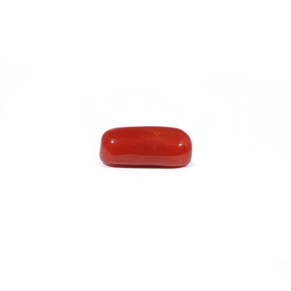 Red Coral - 3.42 Carat