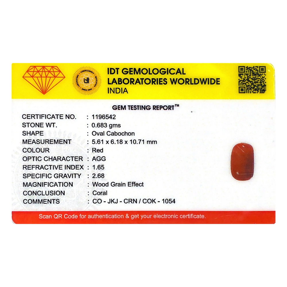 Red Coral - 3.42 Carat