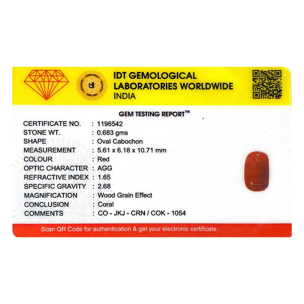 Red Coral - 3.42 Carat