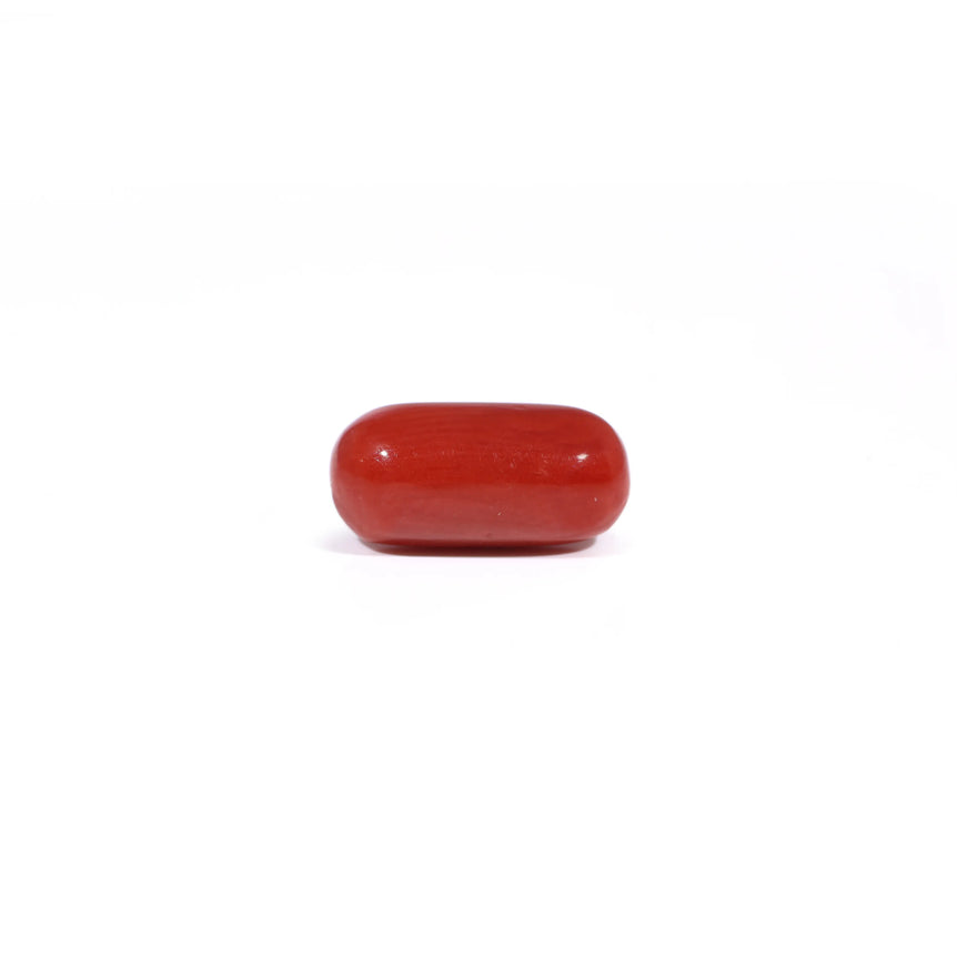 Red Coral - 3.6 Carat - Pramogh
