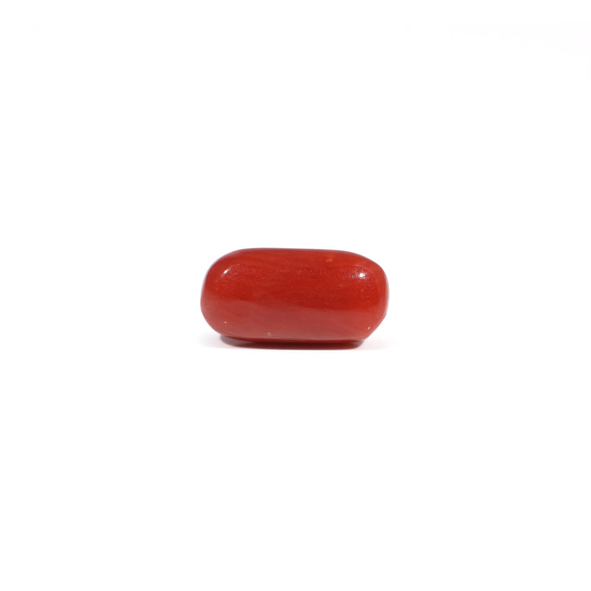 Red Coral - 3.6 Carat