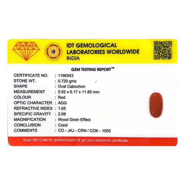 Red Coral - 3.6 Carat