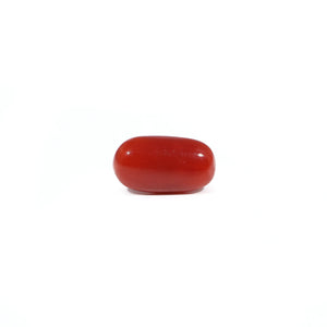 Red Coral - 3.4 Carat - Pramogh
