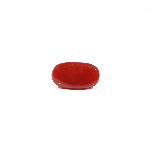 Red Coral - 3.4 Carat