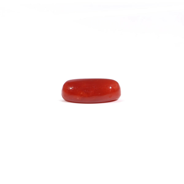 Red Coral - 3.4 Carat