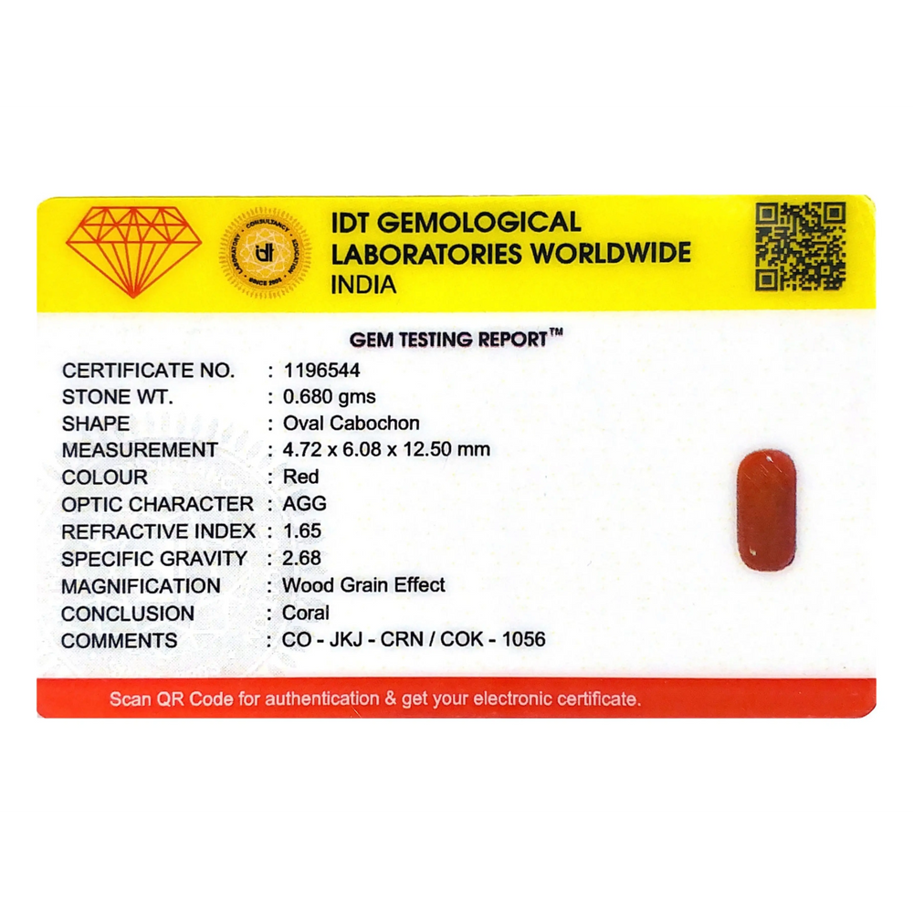 Red Coral - 3.4 Carat