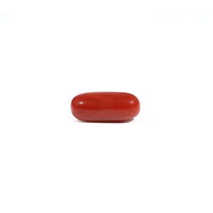 Red Coral - 3.4 Carat - Pramogh