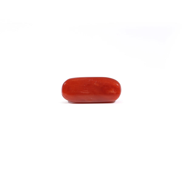 Red Coral - 3.4 Carat
