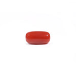 Red Coral - 3.17 Carat - Pramogh