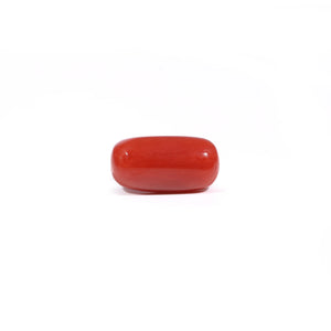 Red Coral - 3.17 Carat - Pramogh