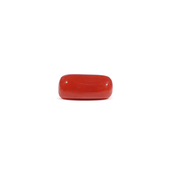Red Coral - 3.17 Carat