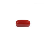 Red Coral - 3.8 Carat - Pramogh