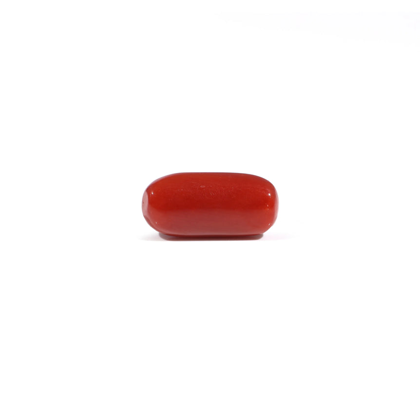Red Coral - 3.8 Carat