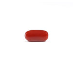 Red Coral - 3.8 Carat