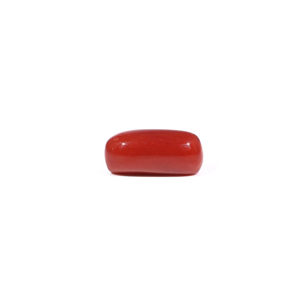 Red Coral - 3.8 Carat