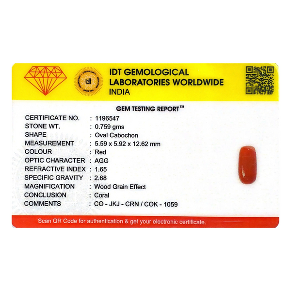 Red Coral - 3.8 Carat