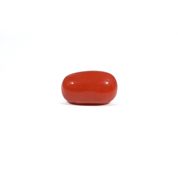 Red Coral - 3.66 Carat - Pramogh