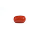 Red Coral - 3.66 Carat - Pramogh