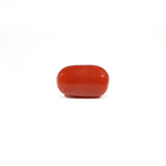 Red Coral - 3.66 Carat