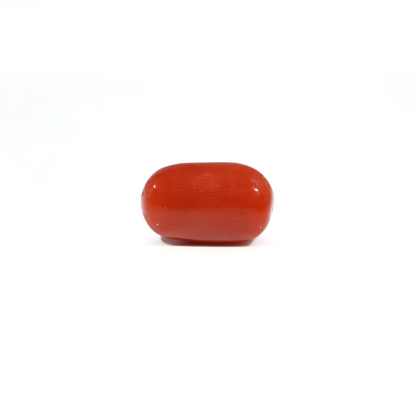 Red Coral - 3.66 Carat