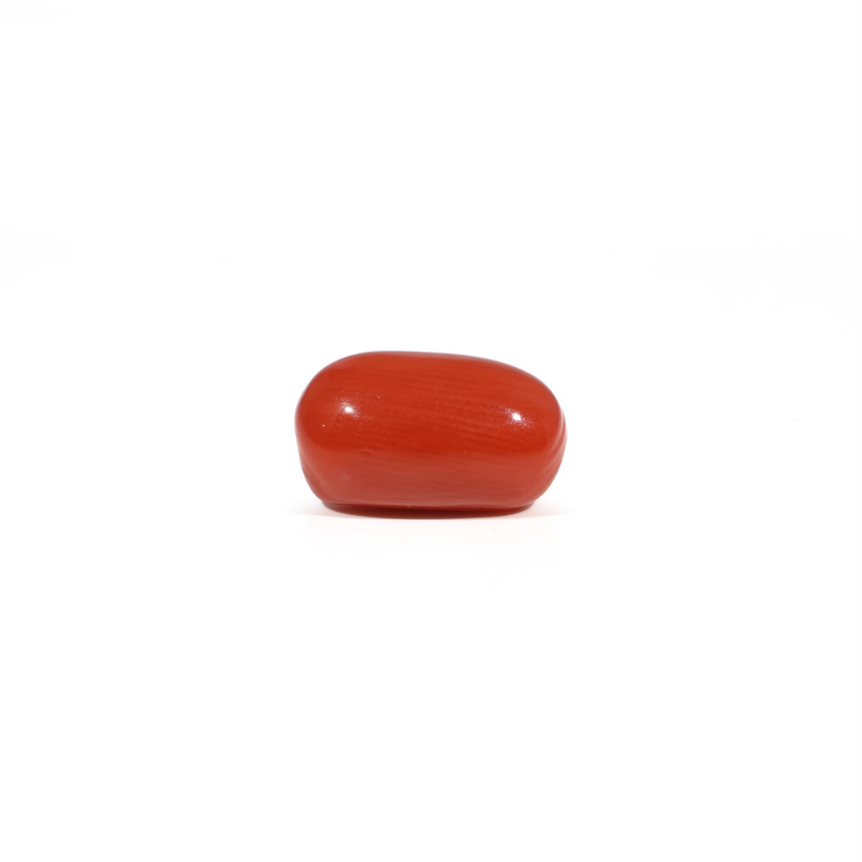 Red Coral - 3.66 Carat